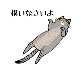 Brown Tabby Cat "Choco" with Fun Buddies sticker #11325621