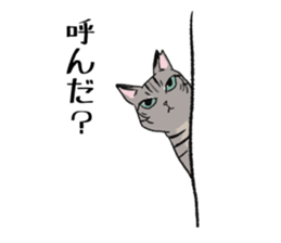 Brown Tabby Cat "Choco" with Fun Buddies sticker #11325631