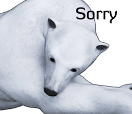 Poler bear (Ursus maritimus) sticker (E) sticker #11326468