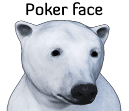 Poler bear (Ursus maritimus) sticker (E) sticker #11326472