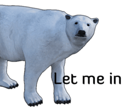 Poler bear (Ursus maritimus) sticker (E) sticker #11326477