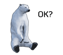 Poler bear (Ursus maritimus) sticker (E) sticker #11326478