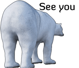 Poler bear (Ursus maritimus) sticker (E) sticker #11326489