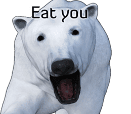 Poler bear (Ursus maritimus) sticker (E) sticker #11326494