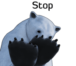 Poler bear (Ursus maritimus) sticker (E) sticker #11326496