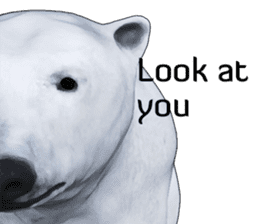 Poler bear (Ursus maritimus) sticker (E) sticker #11326502