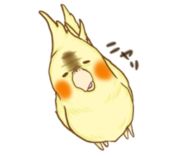 Cockatiel's 2 sticker #11326589