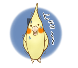Cockatiel's 2 sticker #11326590