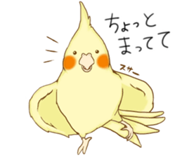 Cockatiel's 2 sticker #11326592