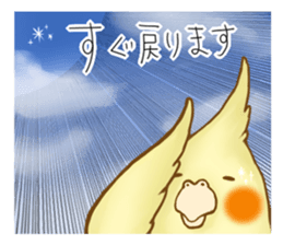 Cockatiel's 2 sticker #11326594