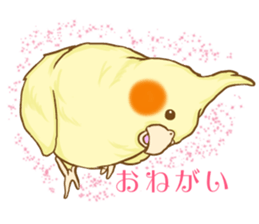 Cockatiel's 2 sticker #11326595