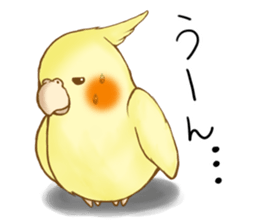 Cockatiel's 2 sticker #11326596
