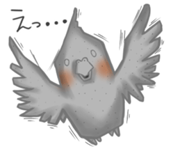 Cockatiel's 2 sticker #11326598