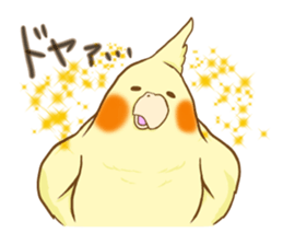 Cockatiel's 2 sticker #11326599