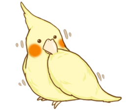 Cockatiel's 2 sticker #11326601