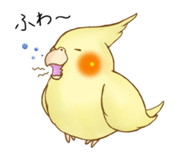 Cockatiel's 2 sticker #11326603