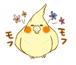 Cockatiel's 2 sticker #11326606