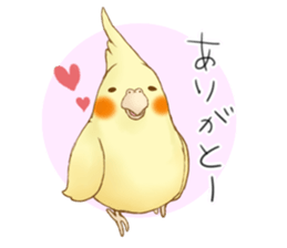 Cockatiel's 2 sticker #11326608