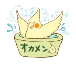 Cockatiel's 2 sticker #11326611