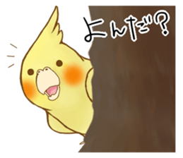 Cockatiel's 2 sticker #11326612