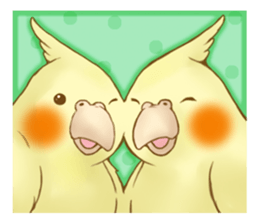 Cockatiel's 2 sticker #11326616