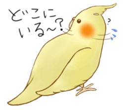 Cockatiel's 2 sticker #11326617