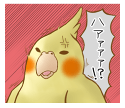 Cockatiel's 2 sticker #11326620