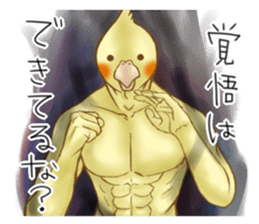 Cockatiel's 2 sticker #11326621