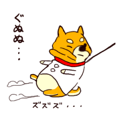 Hopper the wanderer shiba inu in Tokyo