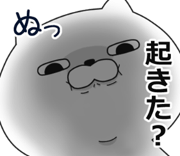 being impudent cat sticker #11329586