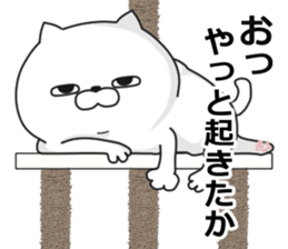 being impudent cat sticker #11329587