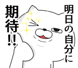 being impudent cat sticker #11329608