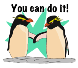 That COOL Guy's Rockhopper Penguin! ENG sticker #11329625