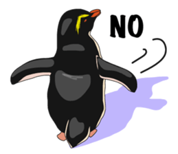 That COOL Guy's Rockhopper Penguin! ENG sticker #11329627