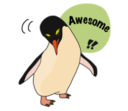 That COOL Guy's Rockhopper Penguin! ENG sticker #11329630