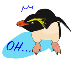 That COOL Guy's Rockhopper Penguin! ENG sticker #11329631