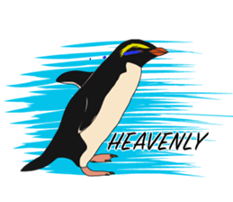 That COOL Guy's Rockhopper Penguin! ENG sticker #11329632