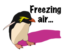 That COOL Guy's Rockhopper Penguin! ENG sticker #11329635