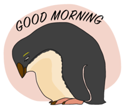 That COOL Guy's Rockhopper Penguin! ENG sticker #11329636