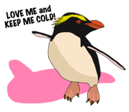 That COOL Guy's Rockhopper Penguin! ENG sticker #11329637