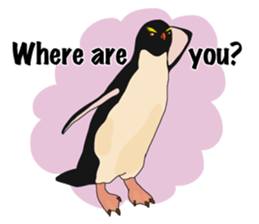 That COOL Guy's Rockhopper Penguin! ENG sticker #11329638