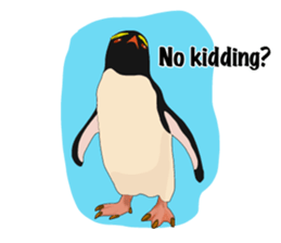 That COOL Guy's Rockhopper Penguin! ENG sticker #11329639