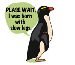 That COOL Guy's Rockhopper Penguin! ENG sticker #11329642