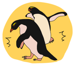 That COOL Guy's Rockhopper Penguin! ENG sticker #11329643