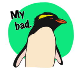 That COOL Guy's Rockhopper Penguin! ENG sticker #11329653