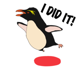 That COOL Guy's Rockhopper Penguin! ENG sticker #11329656