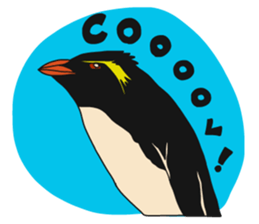 That COOL Guy's Rockhopper Penguin! ENG sticker #11329659