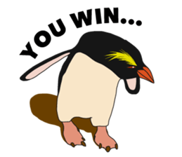 That COOL Guy's Rockhopper Penguin! ENG sticker #11329662