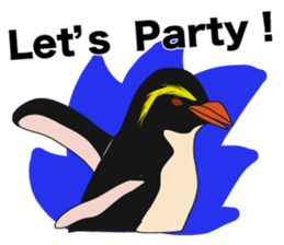 That COOL Guy's Rockhopper Penguin! ENG sticker #11329663