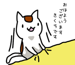 I'm Kikuchi sticker #11329785